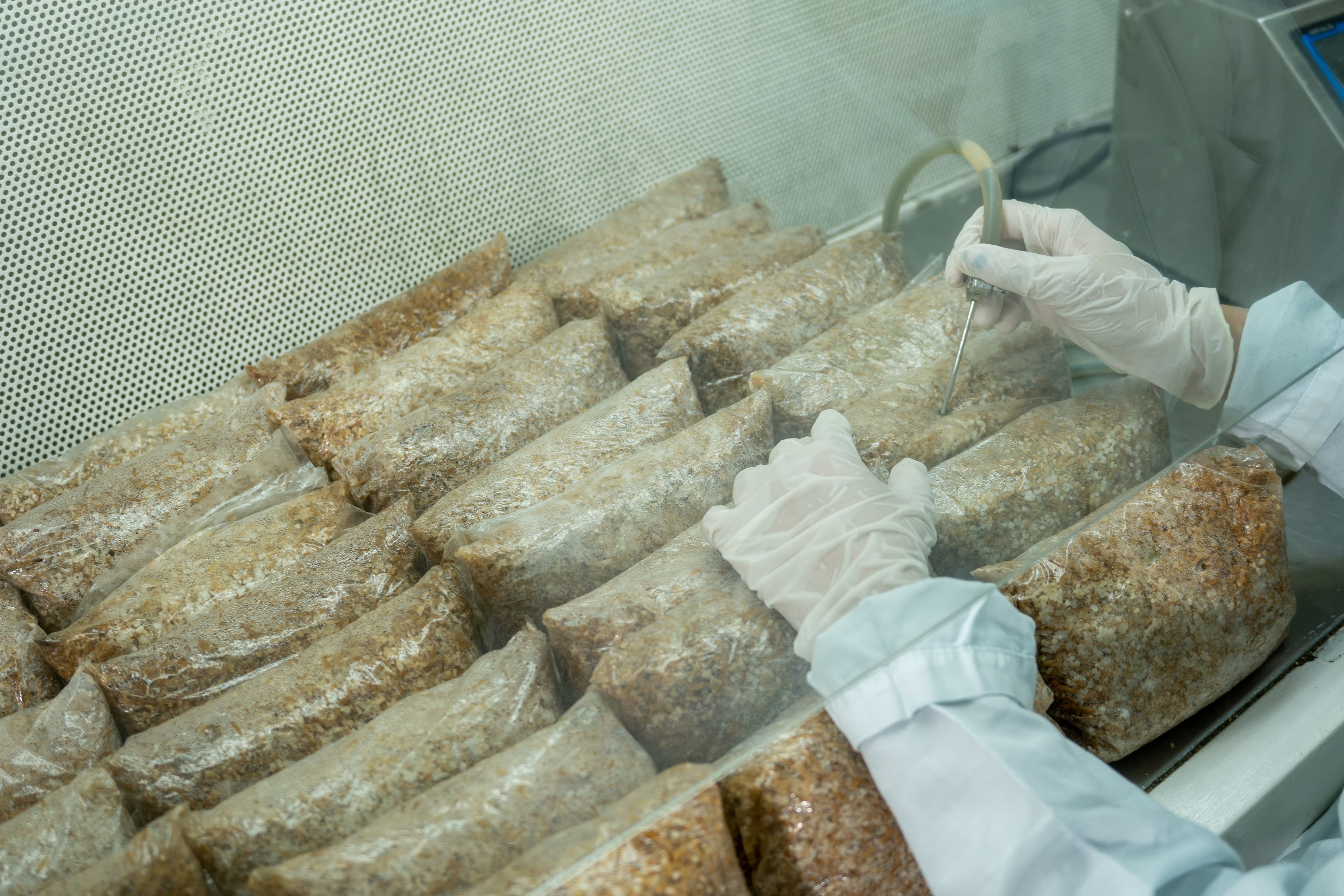 Pelón Hot Sauce Gallery Image 7