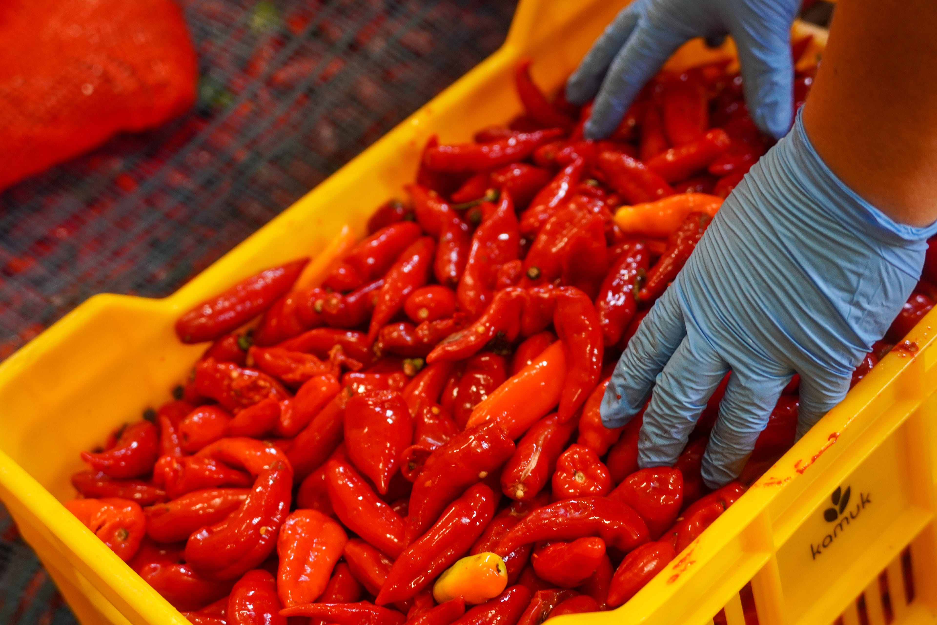 Pelón Hot Sauce Gallery Image 5