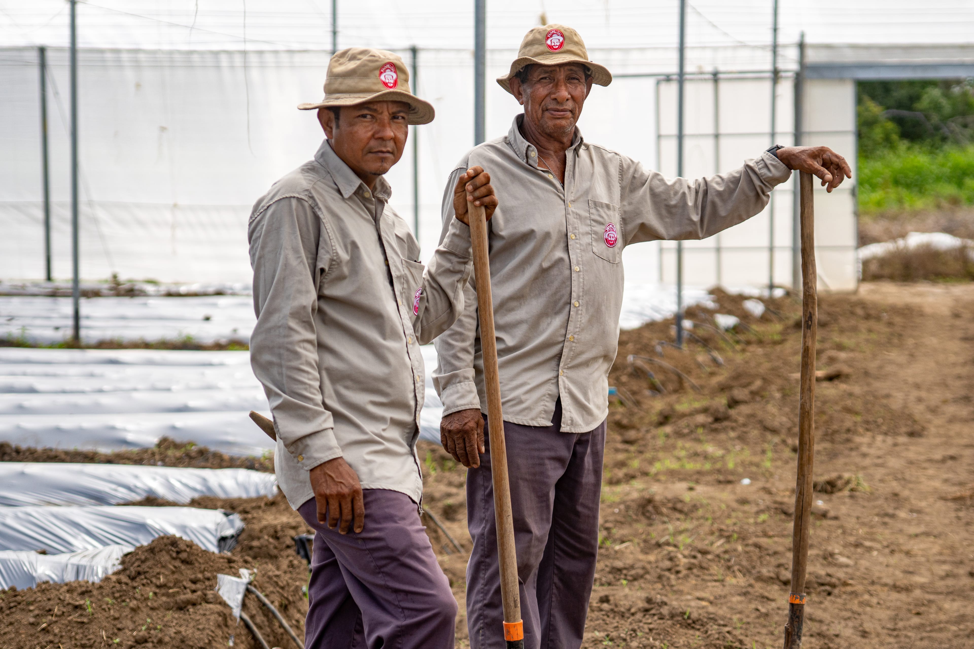 Pelón Hot Sauce Gallery Image 10