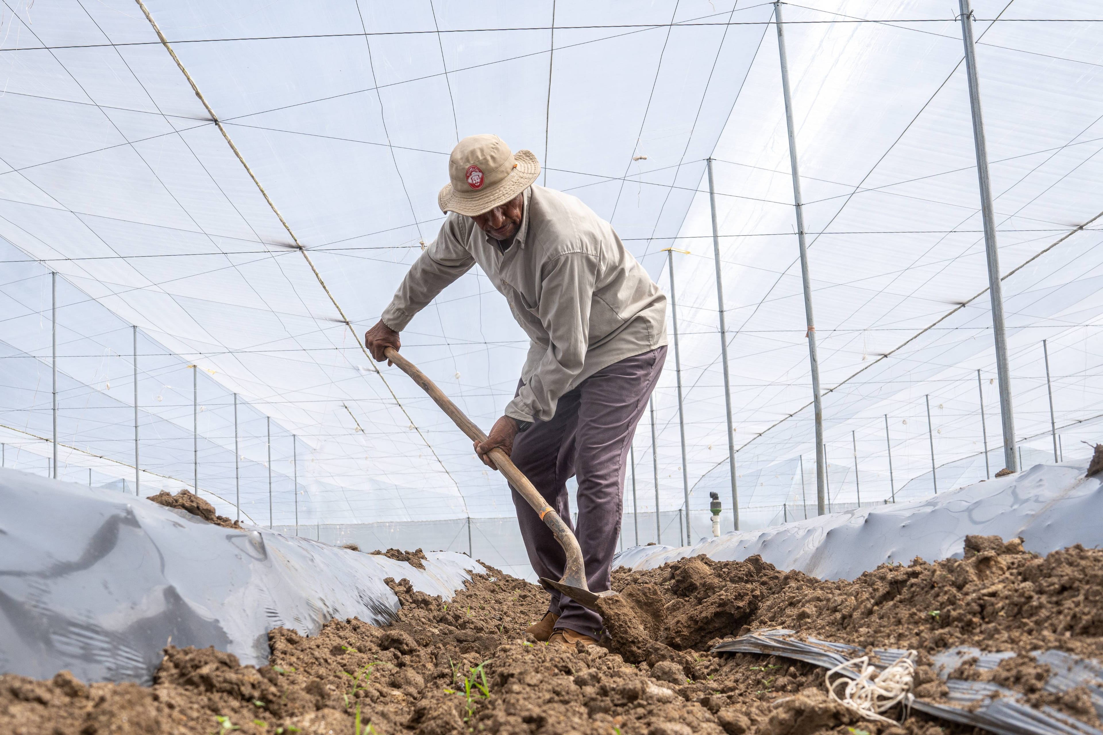 Pelón Hot Sauce Gallery Image 11